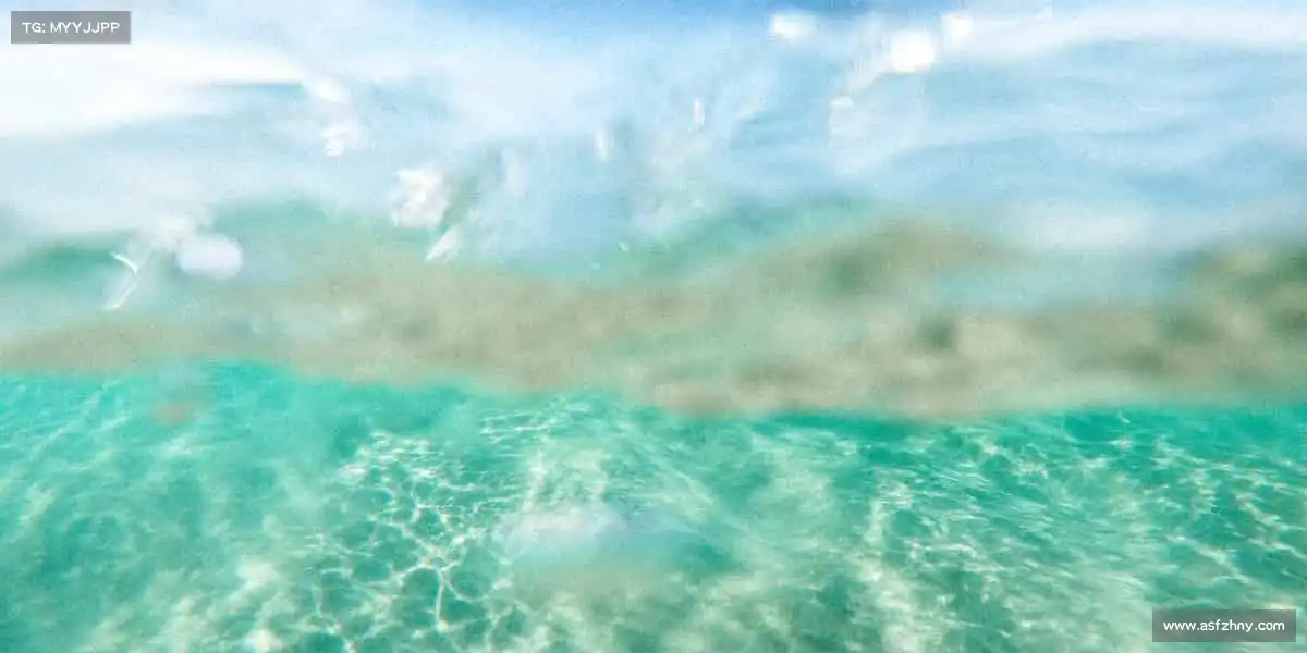 行业领先的理由